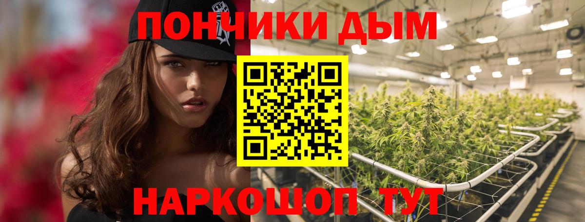 Бошки марихуана Bruce Banner  МАРИХУАНА конопля  Железноводск  Каннабис ГИДРОПОН  Вход с VPN 